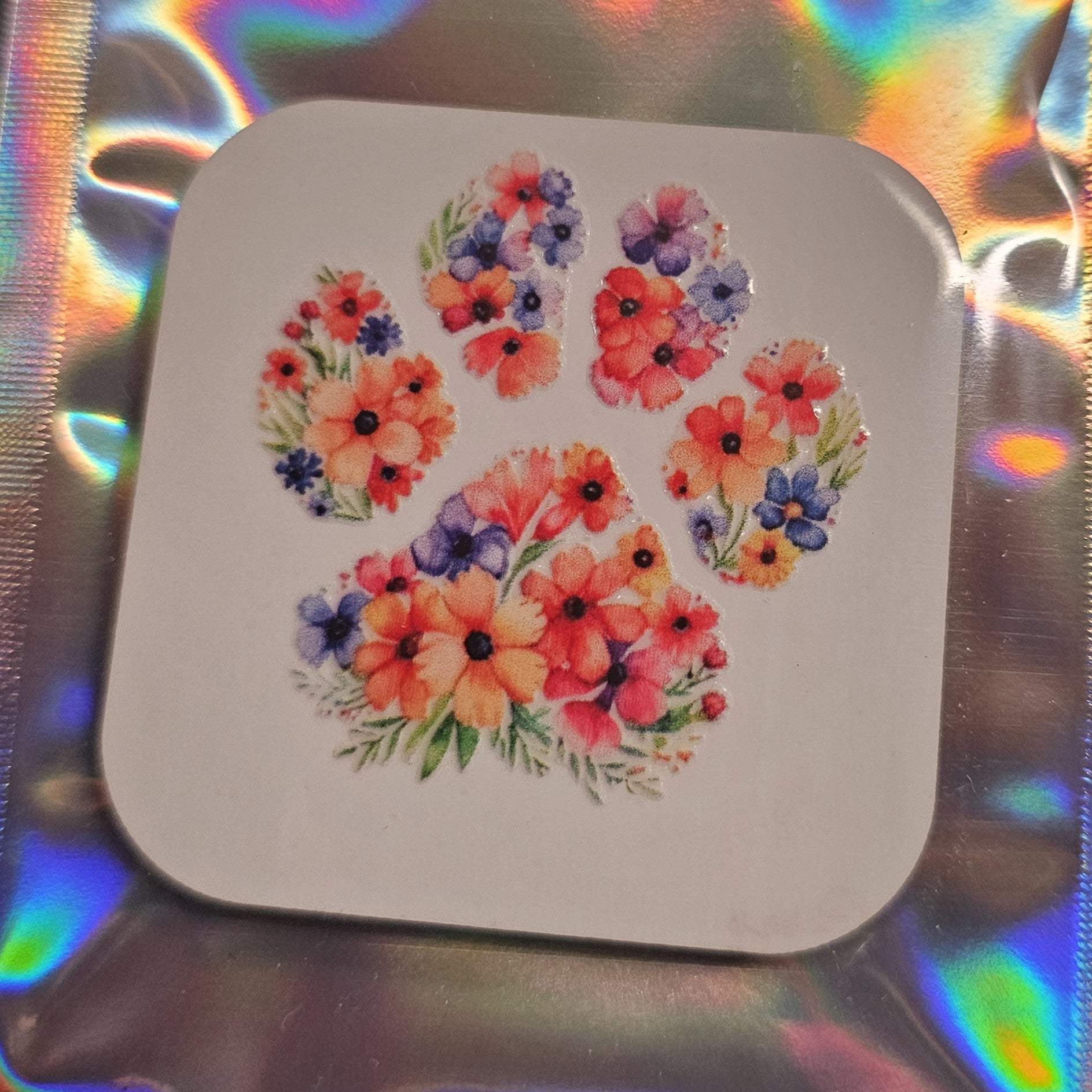 PAW Print Magnets - limited