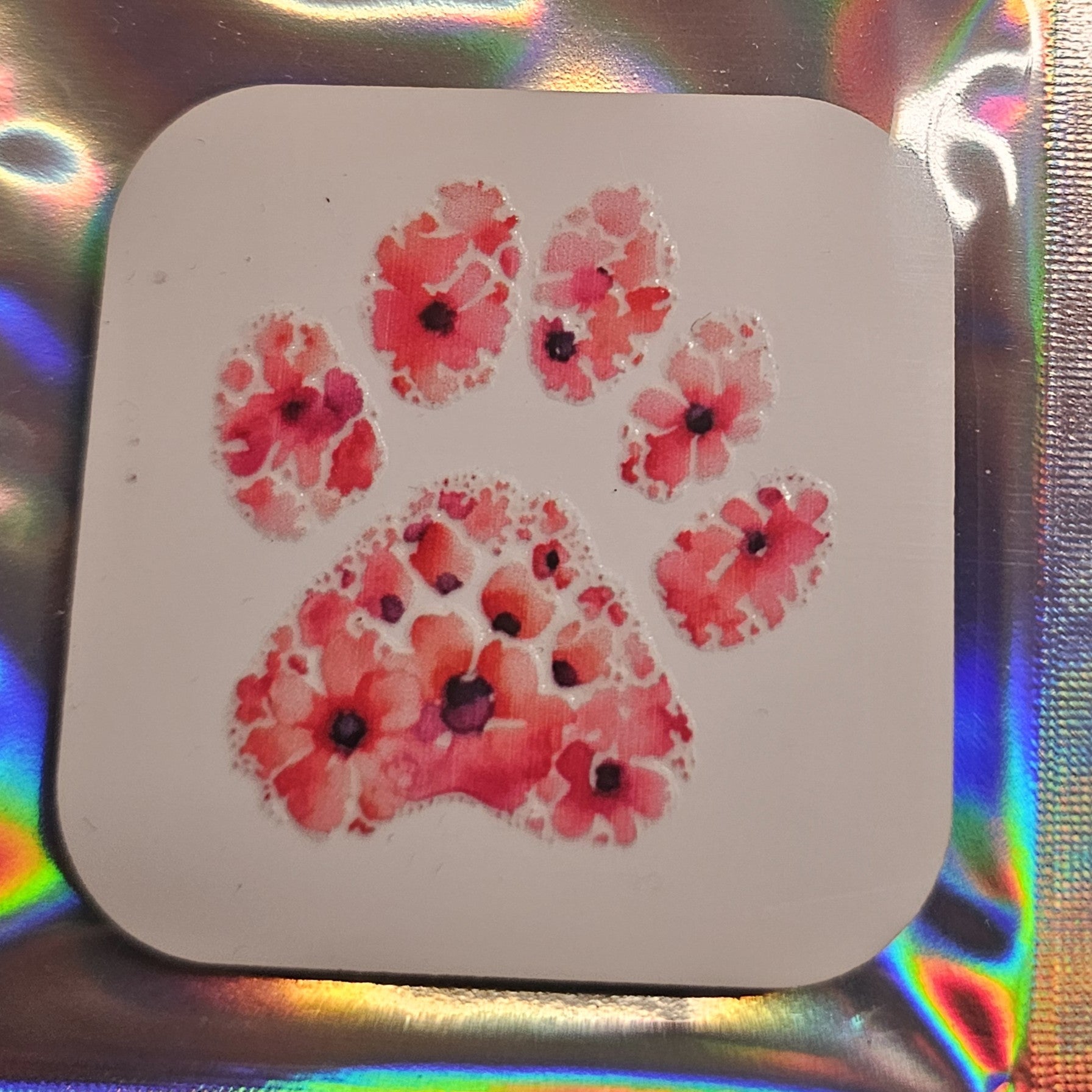 PAW Print Magnets - limited