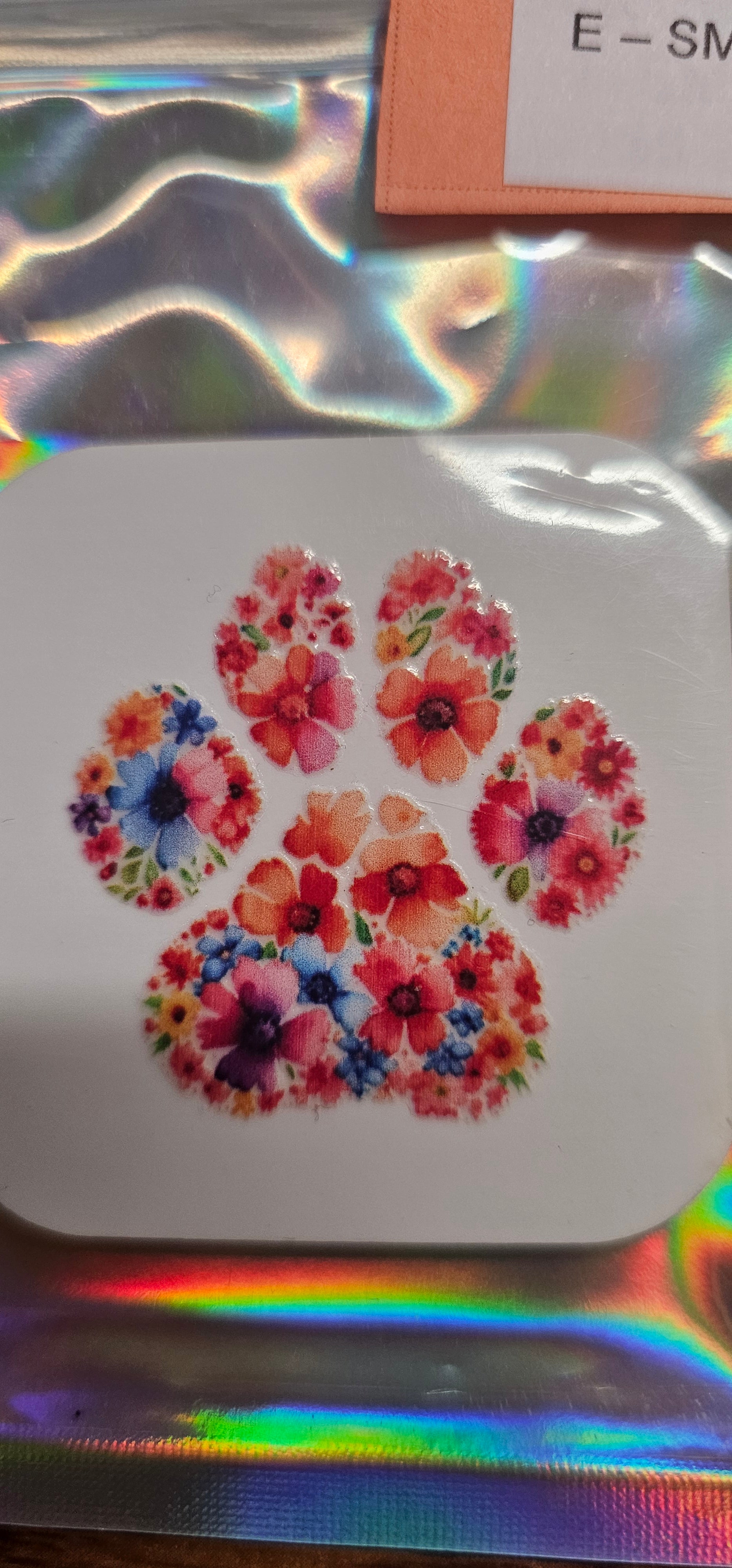 PAW Print Magnets - limited
